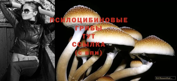 МДПВ Алексеевка