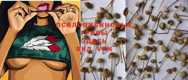 меф Алзамай