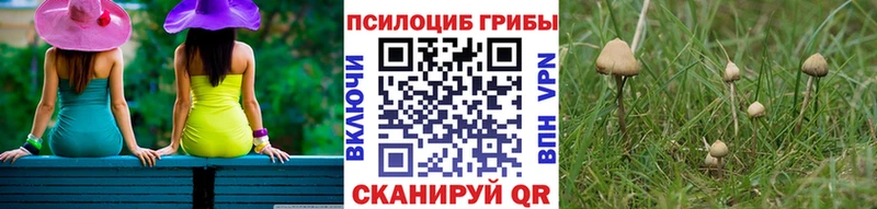 Псилоцибиновые грибы Cubensis Жирновск